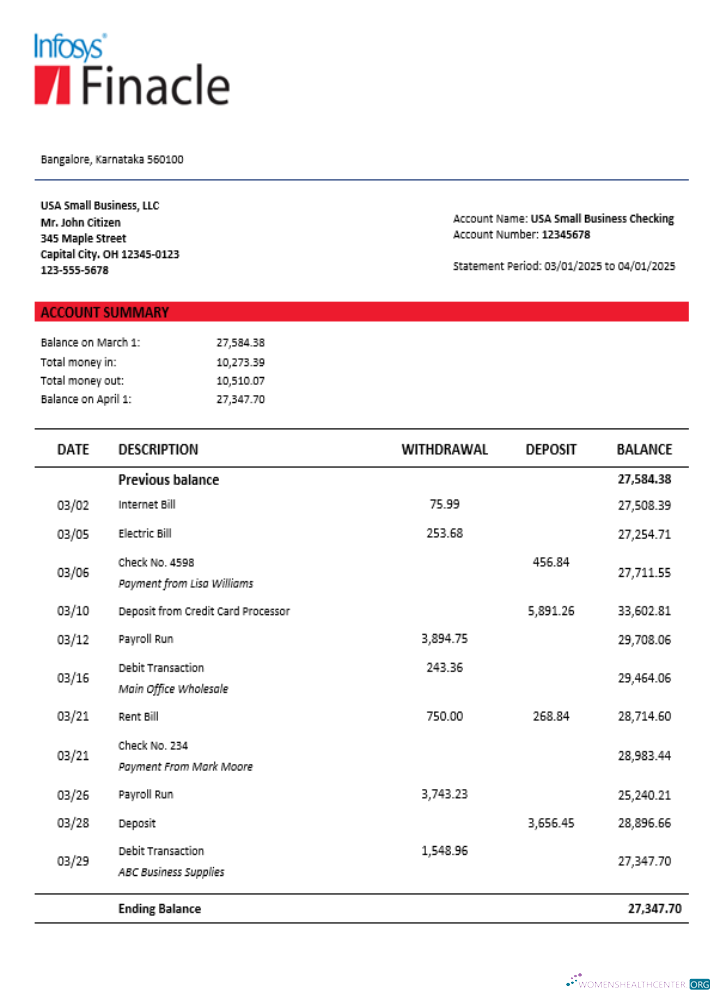 Download Finacle business firm statement Word and PDF format Photoshop template